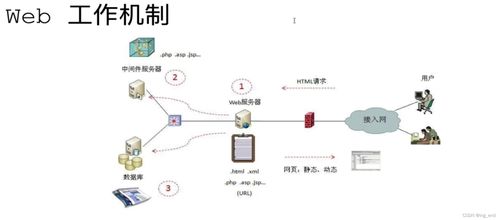 網(wǎng)絡(luò)安全學習路徑 從滲透測試到軟件開發(fā)的全方位指南